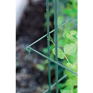 Tall Expandable Pea Trellis for Climbing Plants and Vines