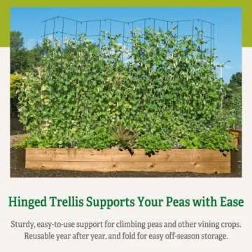 Tall Expandable Pea Trellis for Climbing Plants and Vines