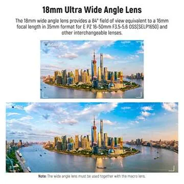 NEEWER 40.5mm HD Wide Angle Lens Compatible with Sony ZV-1F ZV-E10 A5000 A6000, 2 in 1 18mm Wide Angle & 10x Macro Additional Lens with Extension Tube, Bayonet Mount Lens Adapter (LS-30, Black)