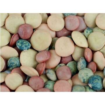 Crunchy Lentil Fest Sprouting Seed Mix - 8 Oz - Handy Pantry Brand - Organic - Green, Red & French L...