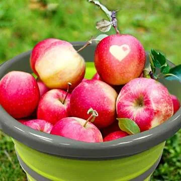 Centurion Deluxe Collapsible Bucket Space Saver