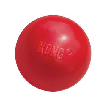 KONG Ball with Hole - Durable Fetch Toy for Small Dogs - Training & Interactive Play