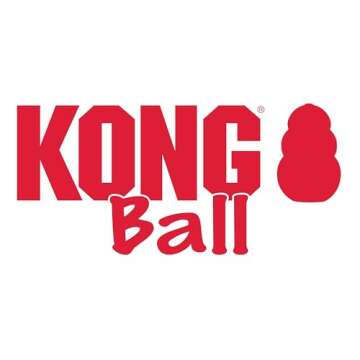 Durable KONG Ball Fetch Toy for Small Dogs - Safe & Fun
