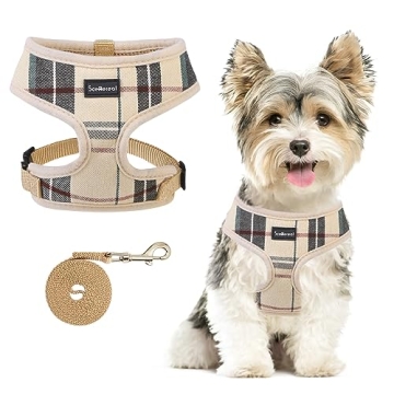 SCENEREAL Puppy Dog Harness with Leash Set for Small Medium Sized Dogs, Soft Mesh Step in Pet Harnes...