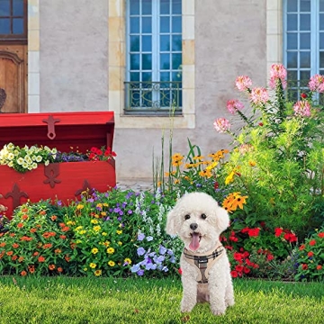 Comfortable Adjustable Dog Harness & Leash Set for Small Dogs