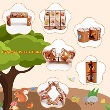 Educational 3 Themes Magic Cube Set for Kids and Adults