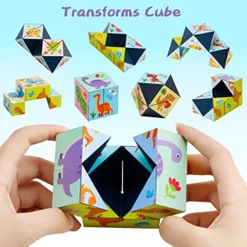 Educational 3 Themes Magic Cube Set for Kids and Adults