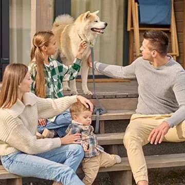 Viper K9 Biothane Working Dog Leash Waterproof Lead for Tracking Training Schutzhund Dog Sport & Search - Odor-Proof Long Line with Solid Brass Snap for Puppy Medium Large 1/2" x 15ft Battleship Gray