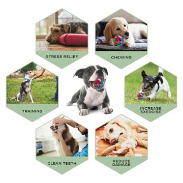 iBeazhu Dog Chew Toy for Small Dogs,Puppy Teething Chew Toys for Playtime and Teeth Cleaning and Interactive,Durable Dog Teeth Cleaning Chew Toys 4-Pack Pet Teeth Squeaky Toy for Puppies