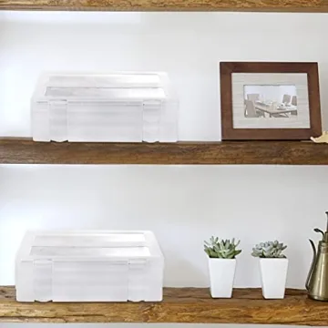 Hiceeden Project Case 4 Pack for Letter Size Files