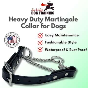 Jim Hodges Dog Training Martingale Collar - Biothane, Stainless Steel, Made in USA, Large, Black