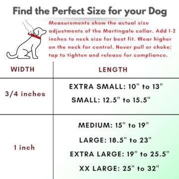 Quality Jim Hodges Martingale Collar for Dogs