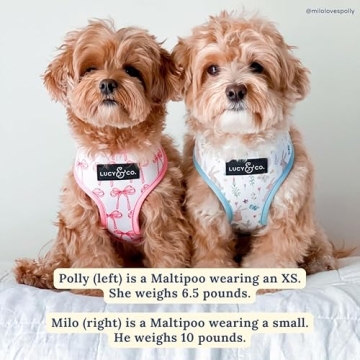 Stylish Reversible Dog Harness for Every Breed