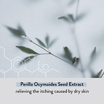 ILLIYOON Ceramide Ato Lotion - Hydrating Moisturizer for Sensitive Skin