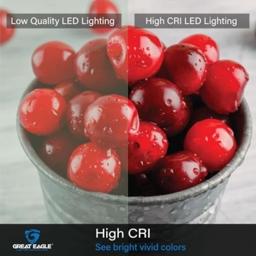 Great Eagle A19 LED Light Bulbs 60 Watt Equivalent