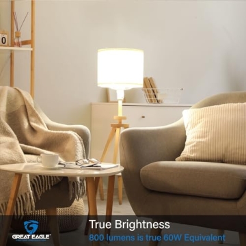 Great Eagle A19 LED Light Bulbs 60 Watt Equivalent