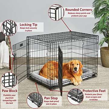 MidWest Homes for Pets Large Dog Crate | MidWest Life Stages Double Door Folding Metal Crate | Divid...