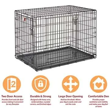MidWest Homes for Pets Large Dog Crate | MidWest Life Stages Double Door Folding Metal Crate | Divider Panel, Floor Protecting Feet, Leak-Proof Pan | 42L x 28W x 30H Inches For Large Dog Breed