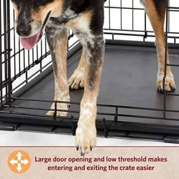 MidWest Homes for Pets Large Dog Crate | MidWest Life Stages Double Door Folding Metal Crate | Divider Panel, Floor Protecting Feet, Leak-Proof Pan | 42L x 28W x 30H Inches For Large Dog Breed