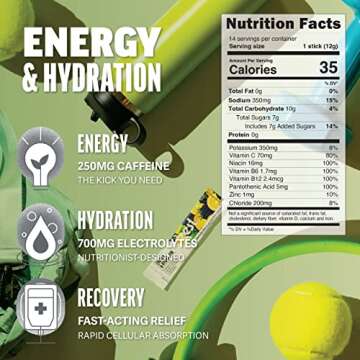 Zest Energy Tea & Hydration Electrolyte Powder - Variety Pack - 4 Tea Bags + 6 Travel Packets - Mix w/Water - Low Sugar Supplement - Recovery, Energy, & Focus Drink - IV Pillars of Liquid Rehydration