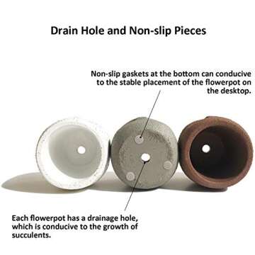 Charming Gepege Concrete Head Planter Set for Succulents