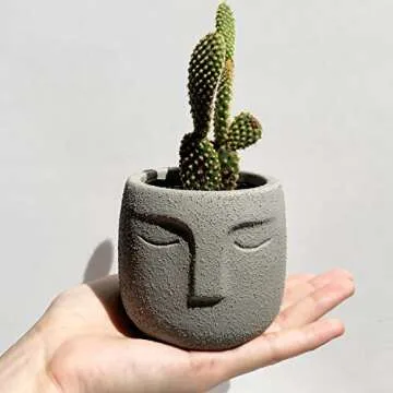 Charming Gepege Concrete Head Planter Set for Succulents