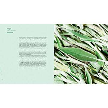 Vibrant Botanicals: Transformational Recipes Using Adaptogens & Other Healing Herbs [A Cookbook]