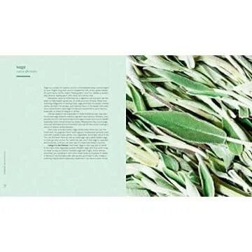 Vibrant Botanicals: Transformational Recipes Using Adaptogens & Other Healing Herbs [A Cookbook]