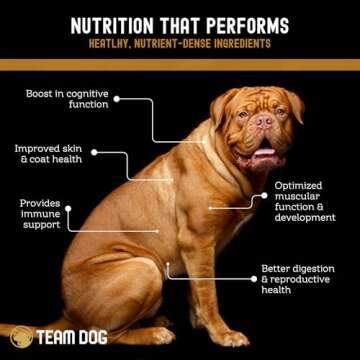 Team Dog Elite Blend Salmon Dog Food with Herring & Lentils | High Protein Dog Food for Sensitive Stomachs & Skin | Chicken Free, Gluten Free, GMO Free, No Corn, Wheat or Soy (33 lb Dry Dog Food)