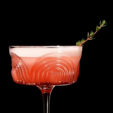 Viski Beau Cocktail Coupe Glasses - Unique Crystal Set