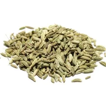 Buy Wellness Organic Fennel Seeds Whole Flavorful Sweet Quality Fennel seed Bulk Bag 1 lb