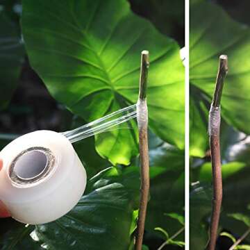 NAYE Grafting Tape for Fruit Trees - 3 Color Rolls