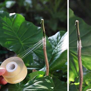 NAYE Grafting Tape for Fruit Trees - 3 Color Rolls