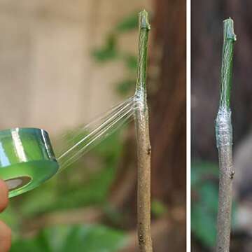 NAYE Grafting Tape for Fruit Trees - 3 Color Rolls