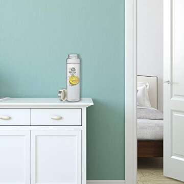 Sursip 32 oz Glass Water Bottle - Stylish & Eco-Friendly Hydration