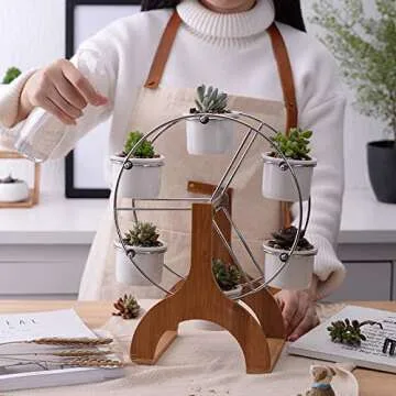 Youfui Succulent Planter Set Indoor Plant Pot Ferris Wheel Plant Stand with 6 Pots
