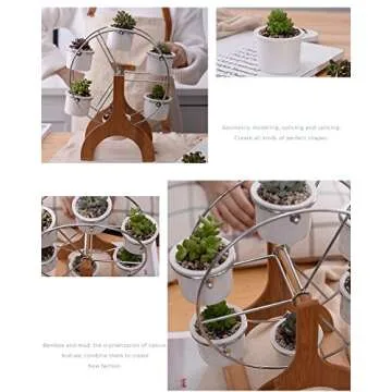 Youfui Succulent Planter Set Indoor Plant Pot Ferris Wheel Plant Stand with 6 Pots