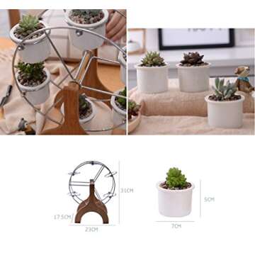 Youfui Succulent Planter Set Indoor Plant Pot Ferris Wheel Plant Stand with 6 Pots