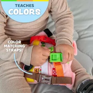 Buckle Toys Boink Pig - Fun Learning for Toddlers