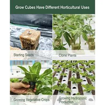 High-Performance Rockwool Cubes for Hydroponic Growing