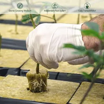 High-Performance Rockwool Cubes for Hydroponic Growing