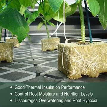 High-Performance Rockwool Cubes for Hydroponic Growing
