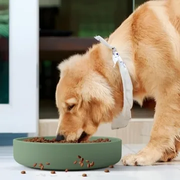 Coomazy Extra Large Slow Feeder Bowl - Eco-Friendly Dog Bowl