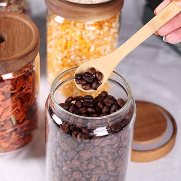 SAIOOL Stackable Kitchen Canisters Set of 8 Glass Storage