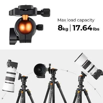K&F Concept Tripod & Quick Release Plate 2 Pack