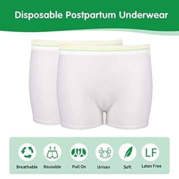 12 Pack Mesh Underwear Postpartum Must-Have Hospital Provide Washable Breathable Undies for Delivery...