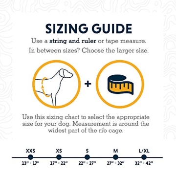 Ruffwear Front Range Harness for Comfort and Control