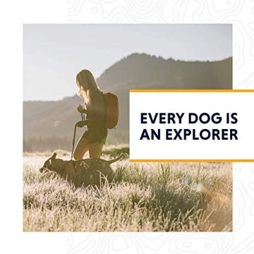 Ruffwear Front Range Harness for Comfort and Control