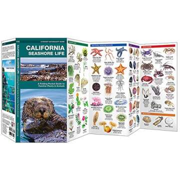 California Seashore Life: A Folding Pocket Guide to Familiar Plants & Animals (A Pocket Naturalist G...