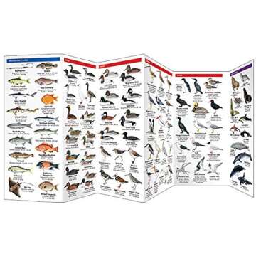 California Seashore Life: A Folding Pocket Guide to Familiar Plants & Animals (A Pocket Naturalist Guide)